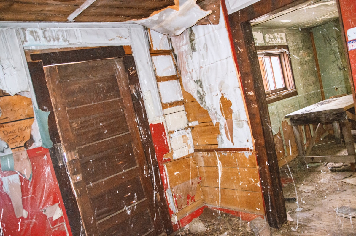 Mold Remediation service in Encinitas, CA
